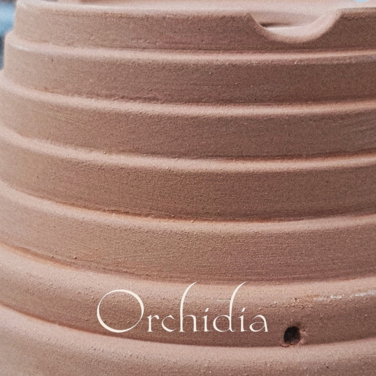 [OPEN EVENT 2+1] 프리미엄 오키디아 토분 Premium Orchidia Pot (2 Size) (2월 28일 한정)